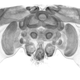 Image for article titled New project aims to upload a honey bee's brain into a flying insectobot by 2015